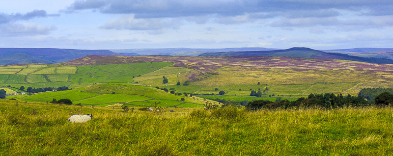 Abney Moor